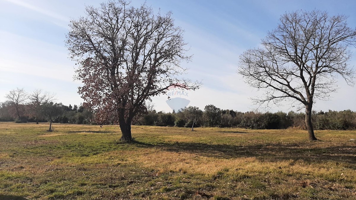 Terreno non edificabile Rovinj, 4.732m2