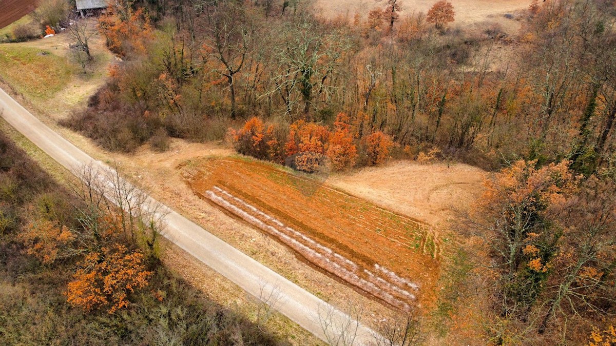 Terreno edificabile Domijanići, Žminj, 1.564m2