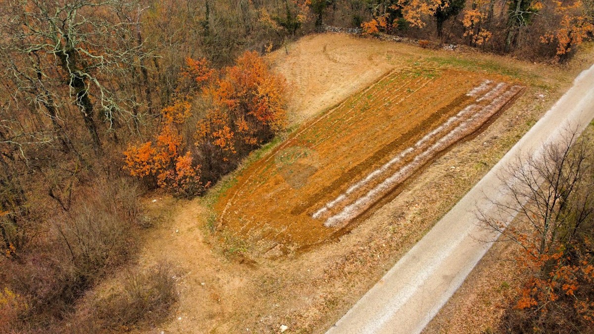 Terreno edificabile Domijanići, Žminj, 1.564m2