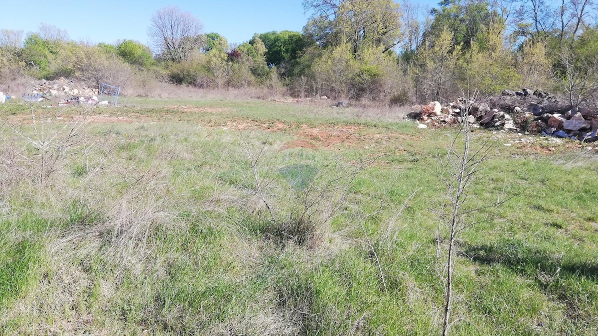 Terreno edificabile Korenići, Kanfanar, 1.000m2