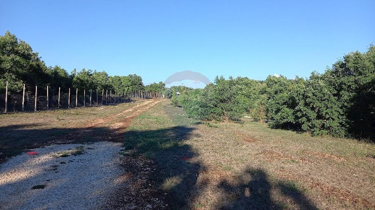 Terreno edificabile Kranjčići, Svetvinčenat, 27.283m2