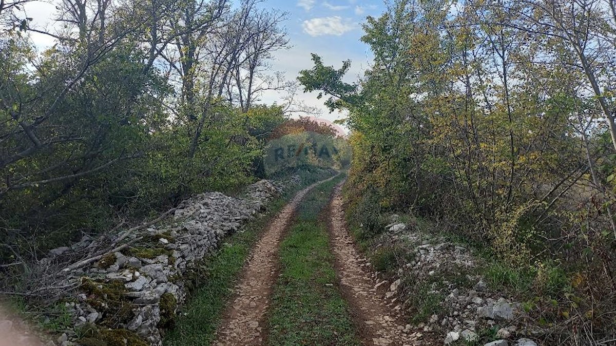 Terreno non edificabile Fažana, 7.970m2