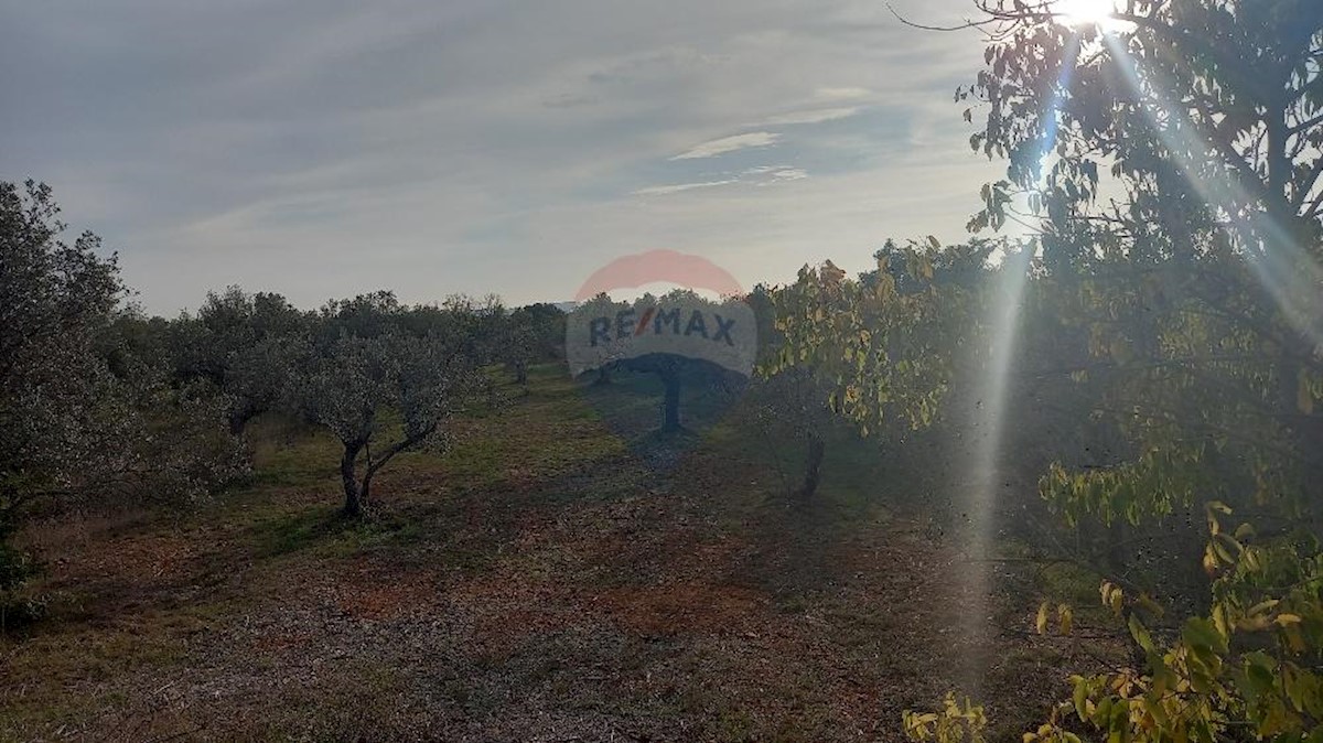 Terreno non edificabile Fažana, 7.970m2