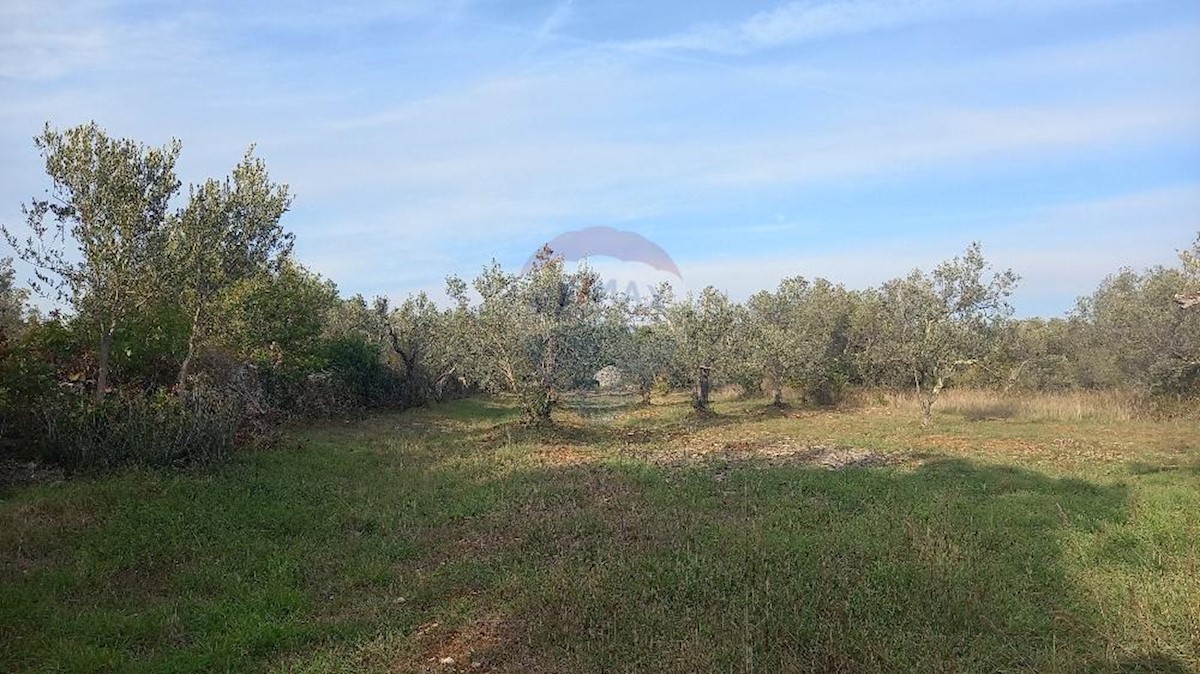 Terreno non edificabile Fažana, 7.970m2