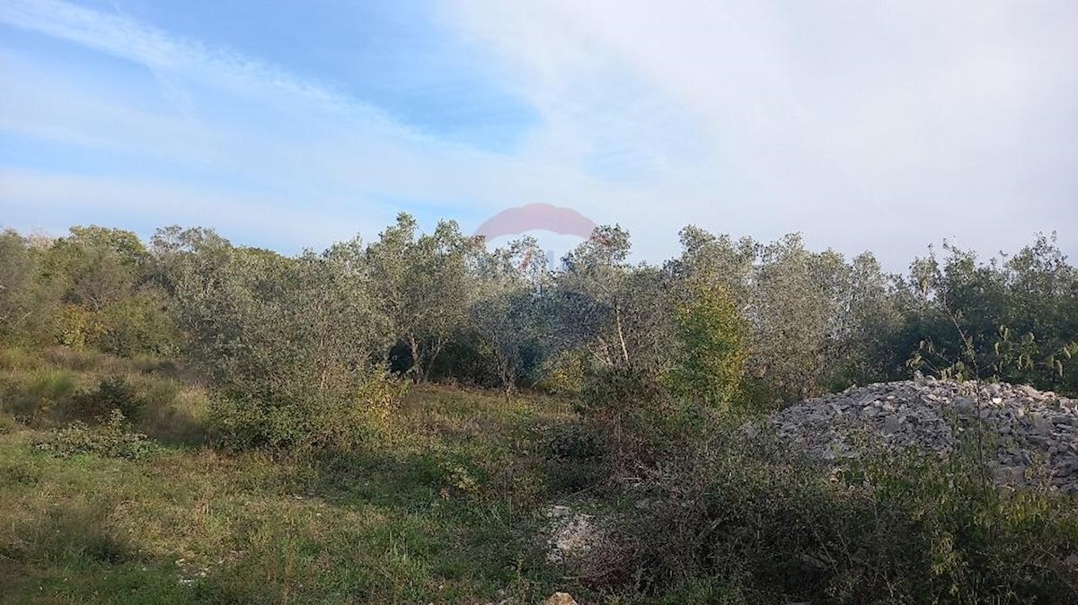 Terreno non edificabile Fažana, 7.970m2