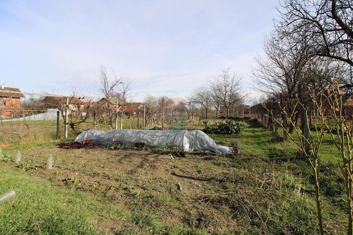 Casa Begovići, Petrinja, 301m2