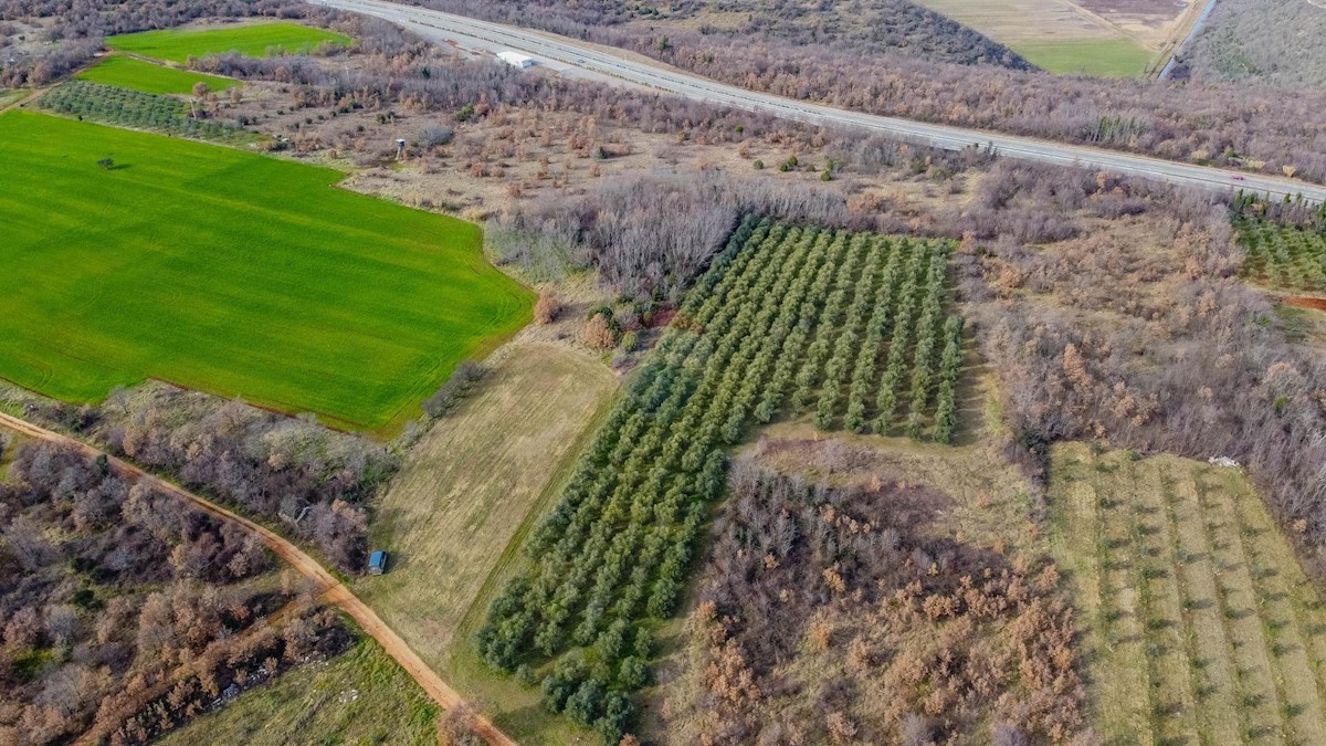 Terreno non edificabile Kaštelir, Kaštelir-Labinci, 57.374m2