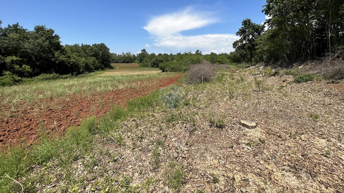 Terreno non edificabile Labinci, Kaštelir-Labinci, 22.708m2