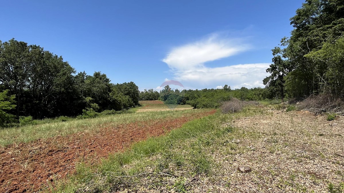 Terreno non edificabile Labinci, Kaštelir-Labinci, 22.708m2