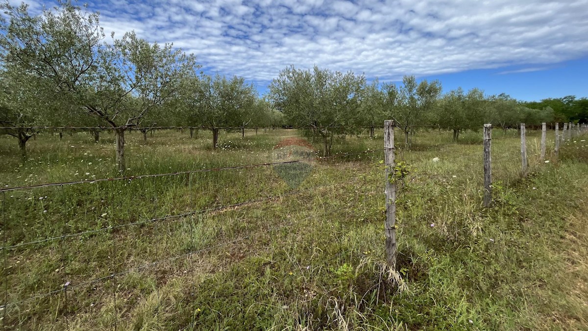 Terreno non edificabile Labinci, Kaštelir-Labinci, 8.841m2