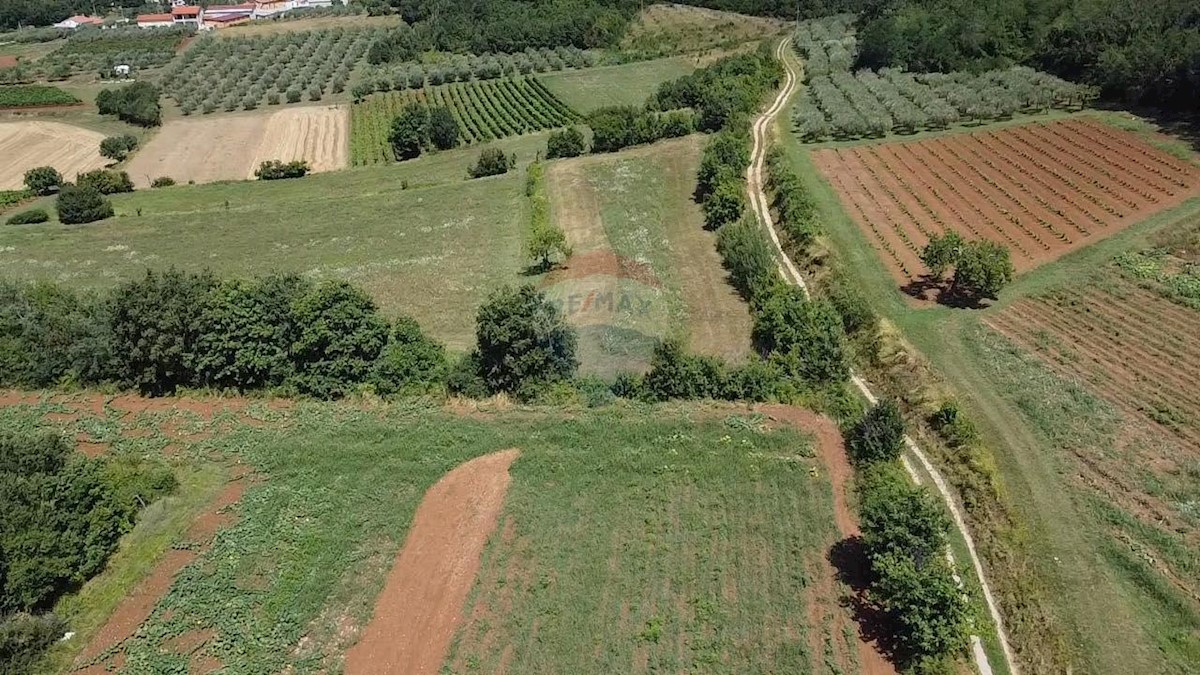 Terreno non edificabile Vižinada, 19.280m2