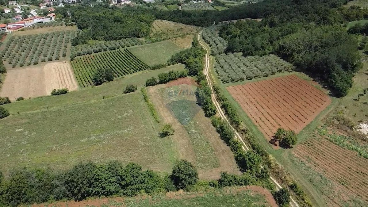 Terreno non edificabile Vižinada, 19.280m2