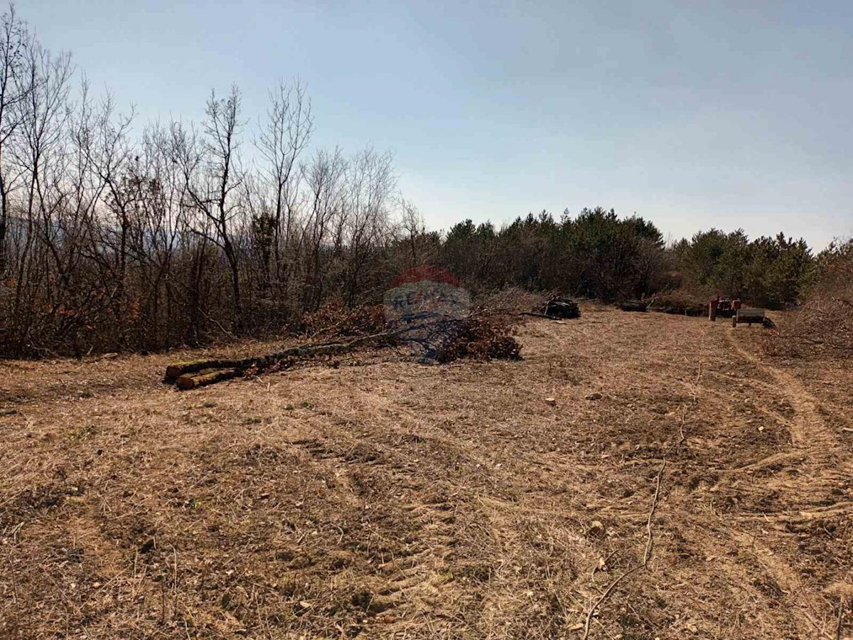 Terreno non edificabile Vrh, Buzet, 24.282m2