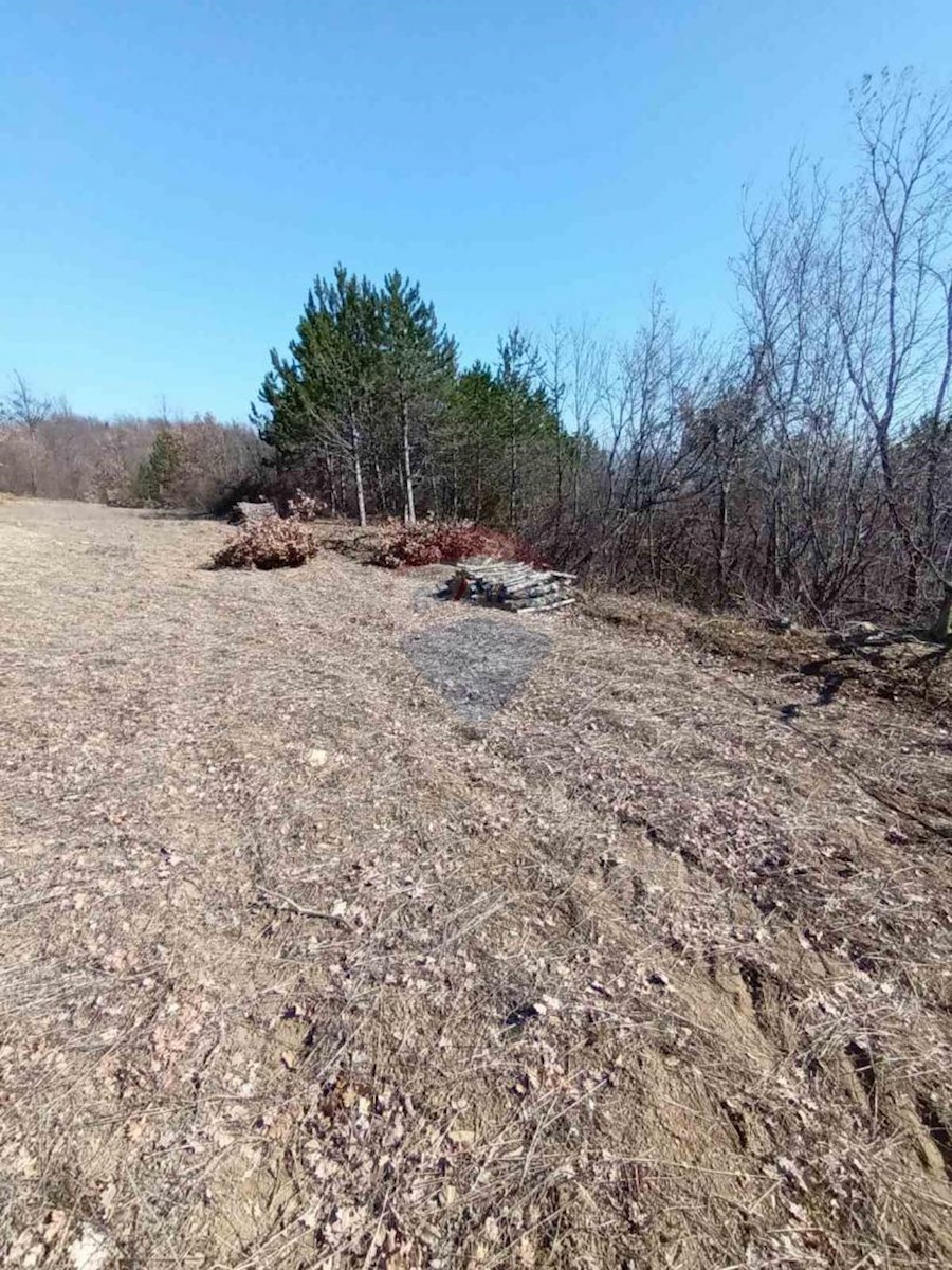 Terreno non edificabile Vrh, Buzet, 24.282m2