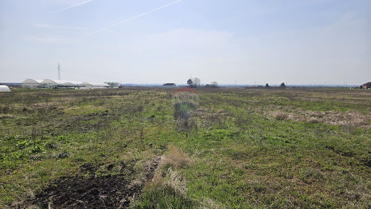 Terreno edificabile Odranski Obrež, Brezovica, 2.174m2