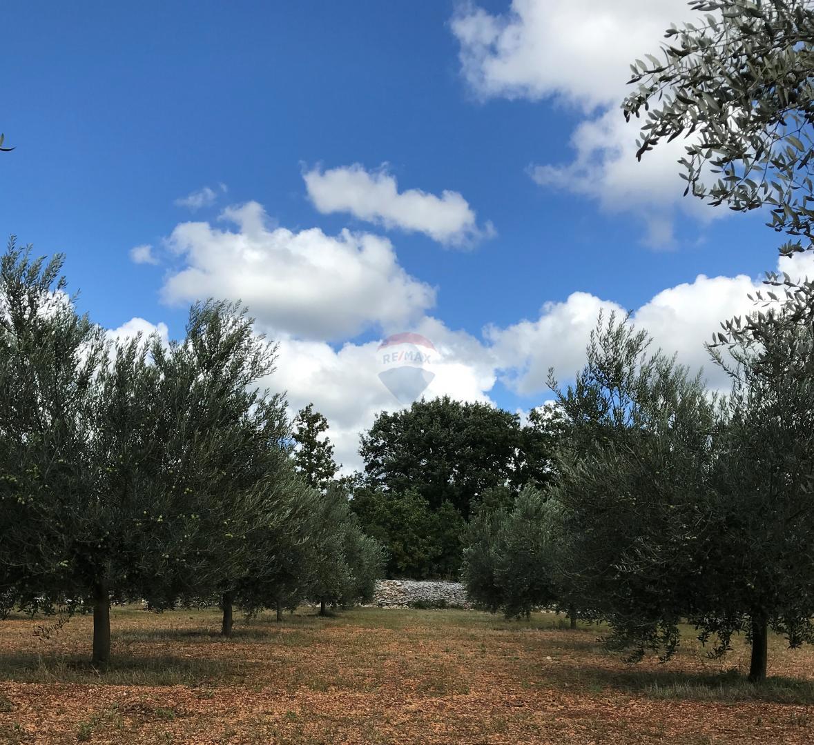 Terreno non edificabile Vodnjan, 24.680m2