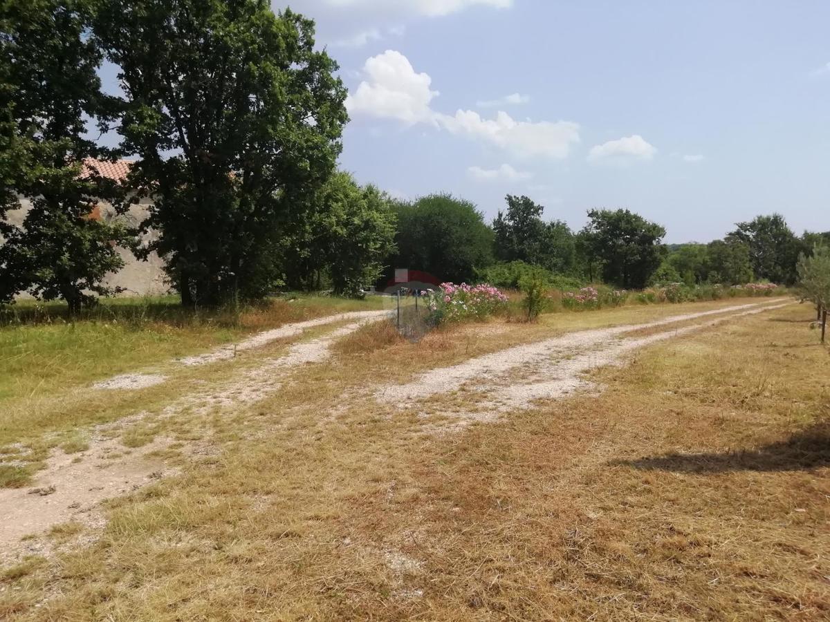 Terreno non edificabile Vodnjan, 24.680m2