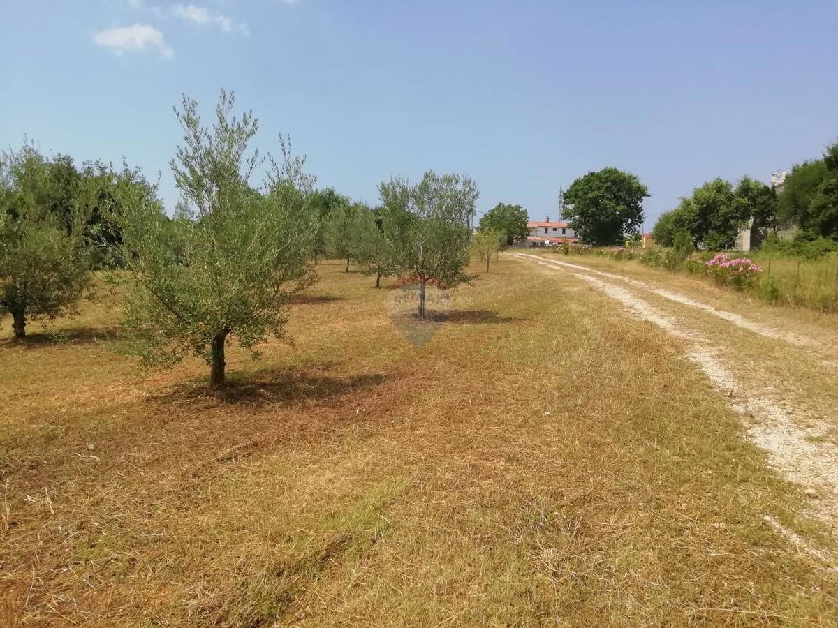 Terreno non edificabile Vodnjan, 24.680m2