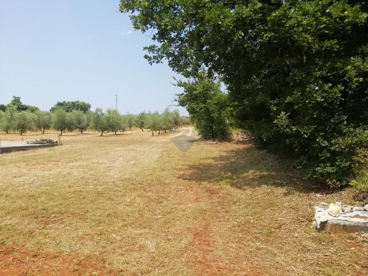 Terreno non edificabile Vodnjan, 24.680m2