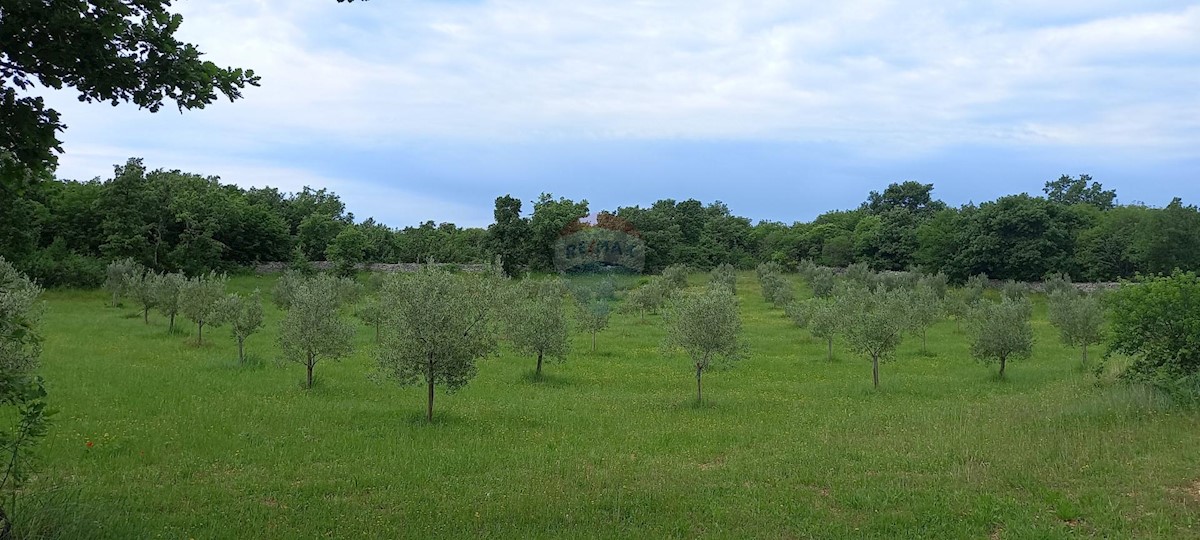 Terreno non edificabile Vodnjan, 24.680m2