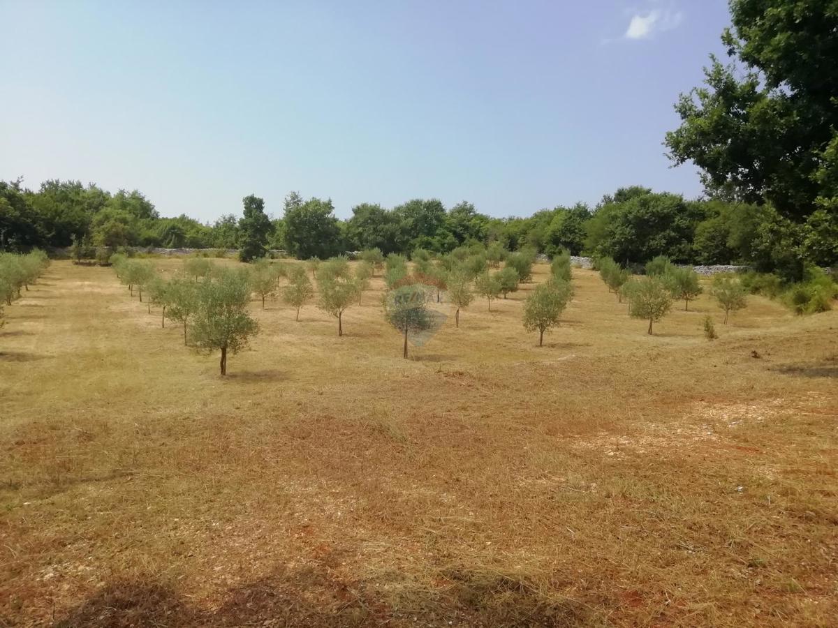 Terreno non edificabile Vodnjan, 24.680m2
