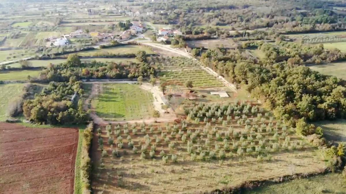 Terreno non edificabile Vodnjan, 24.680m2
