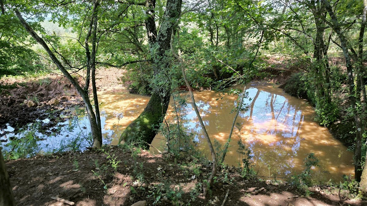 Terreno non edificabile Kaštelir, Kaštelir-Labinci, 24.000m2