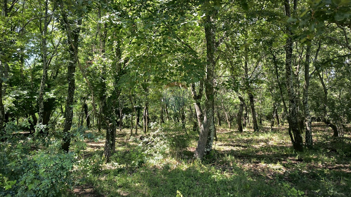 Terreno non edificabile Kaštelir, Kaštelir-Labinci, 24.000m2