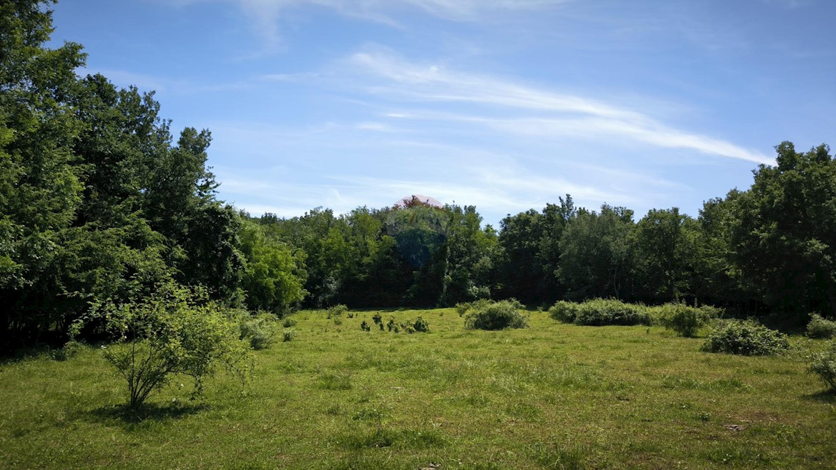 Terreno non edificabile Kaštelir, Kaštelir-Labinci, 24.000m2