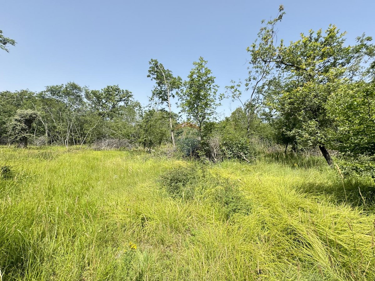 Terreno non edificabile Garica, Vrbnik, 7.511m2