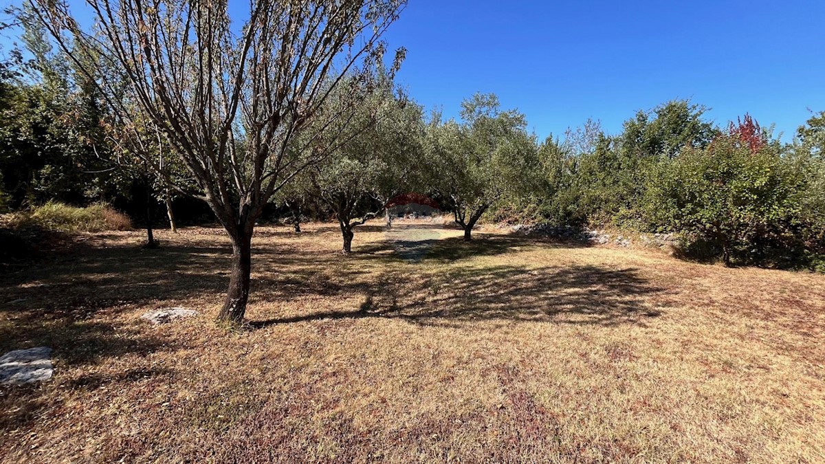 Istria, Visignano, casa con piscina + terreno edificabile