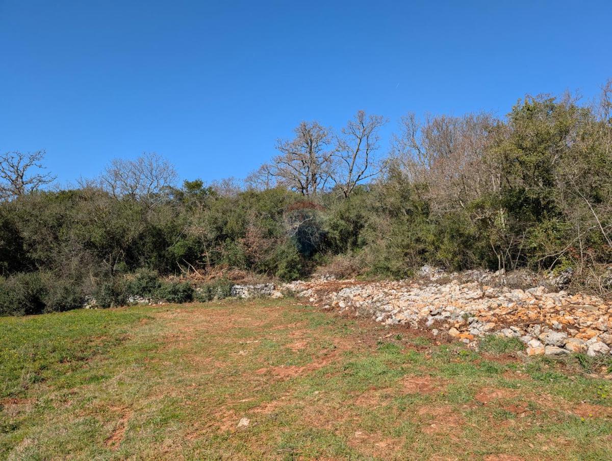 Terreno non edificabile Rovinj, 7.400m2
