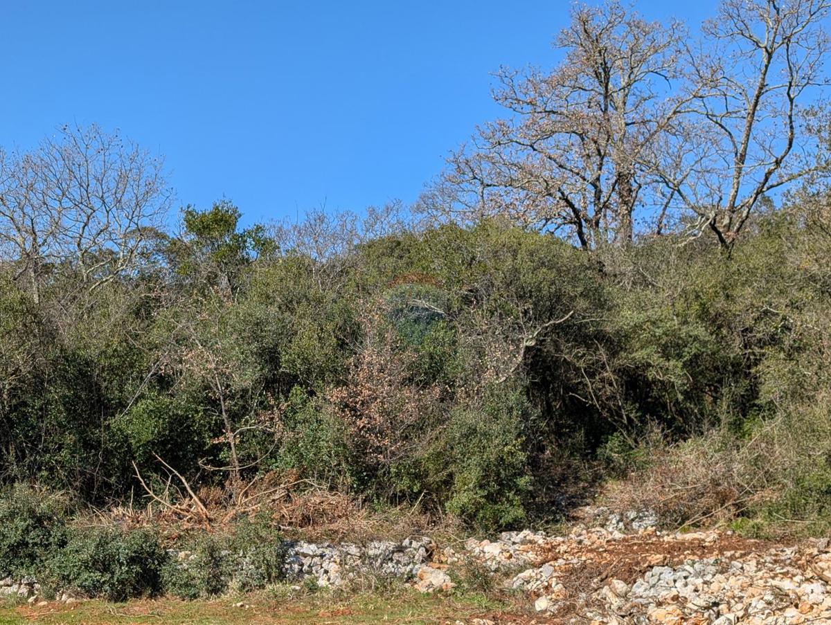 Terreno non edificabile Rovinj, 7.400m2