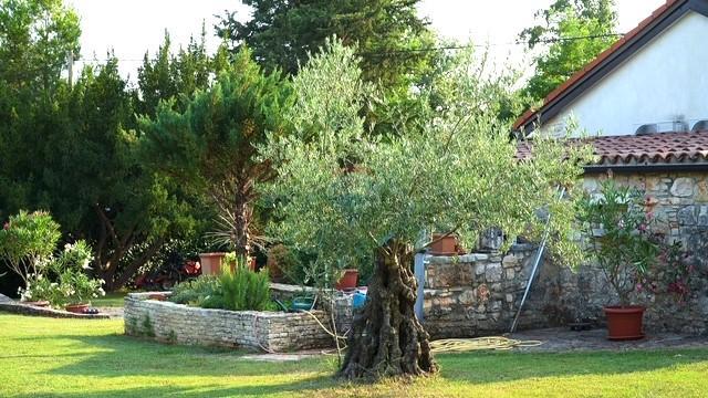  Istria, Lovrečica - Casa a piano terra con ampio giardino