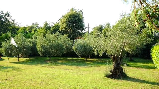  Istria, Lovrečica - Casa a piano terra con ampio giardino
