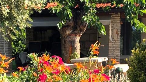  Istria, Lovrečica - Casa a piano terra con ampio giardino
