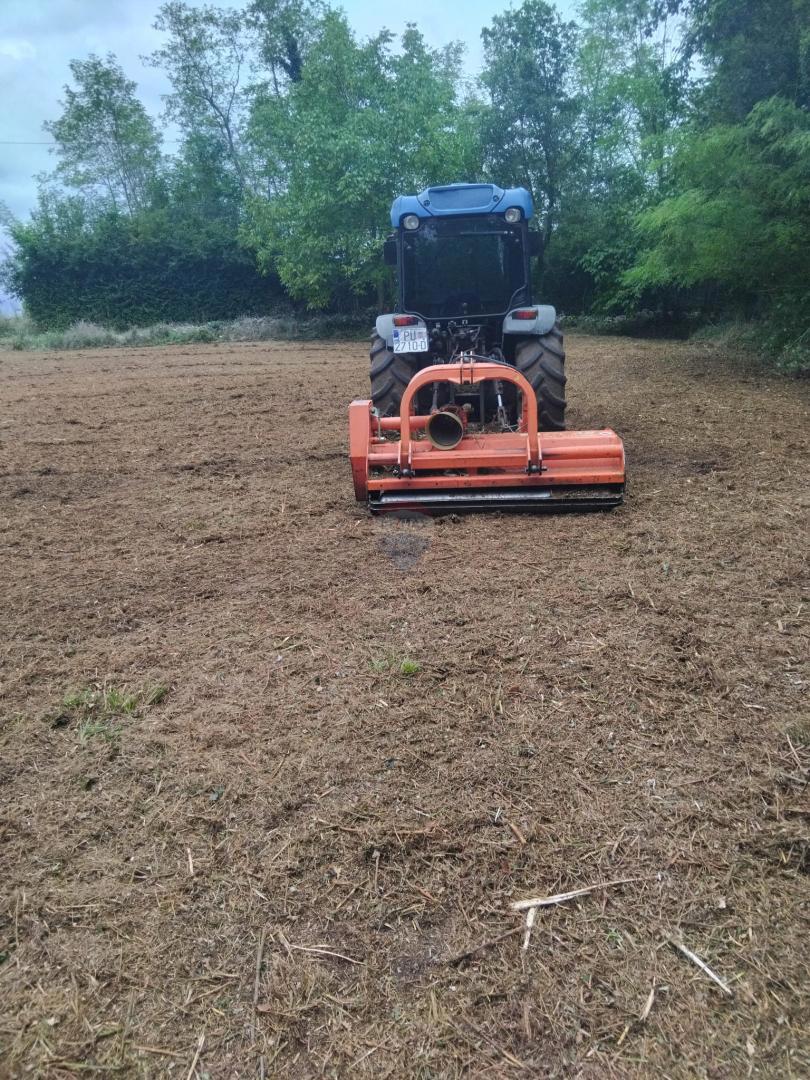 Terreno edificabile Rafaeli, Višnjan, 717m2