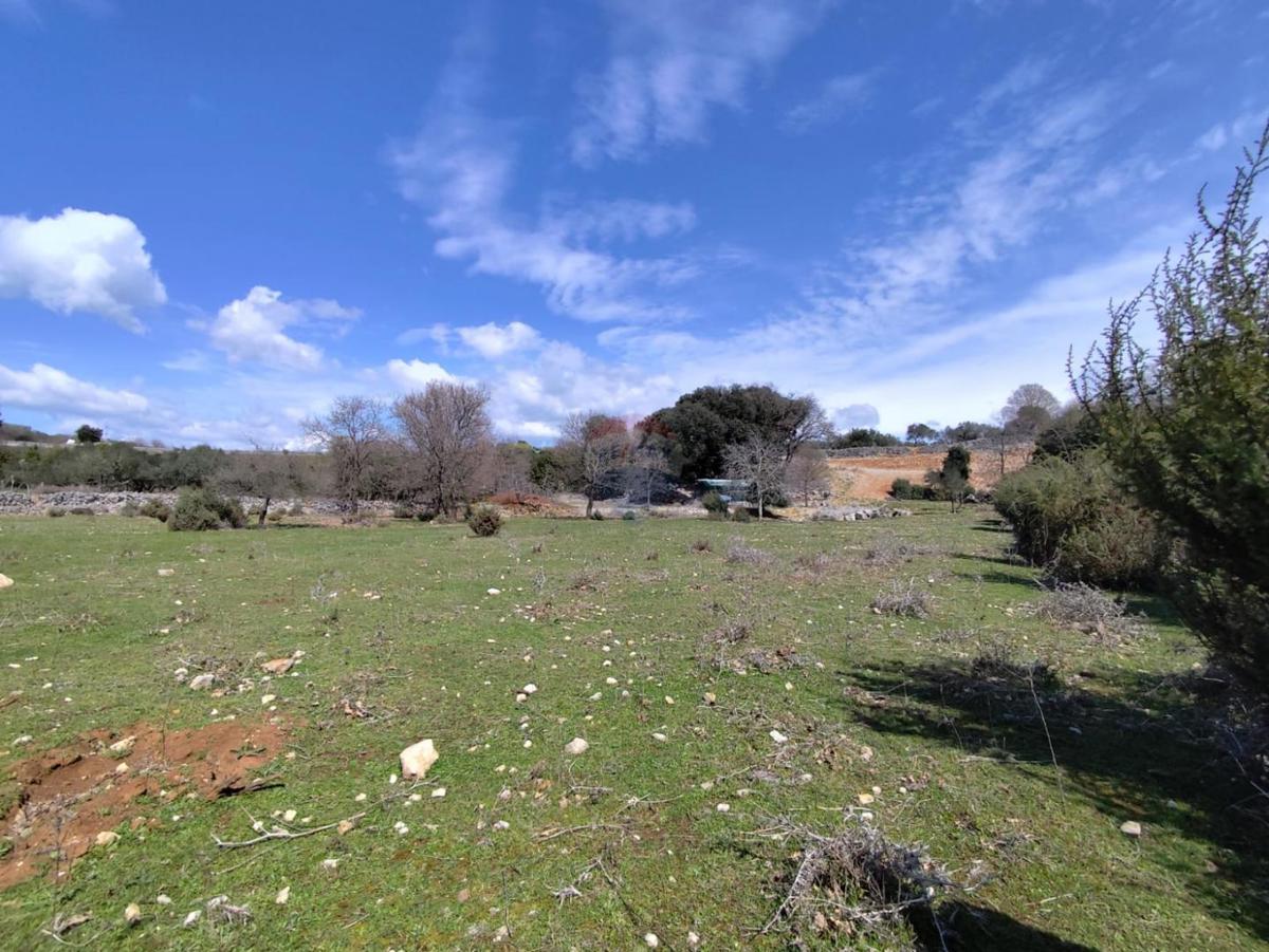 Terreno non edificabile Punat, 3.119m2