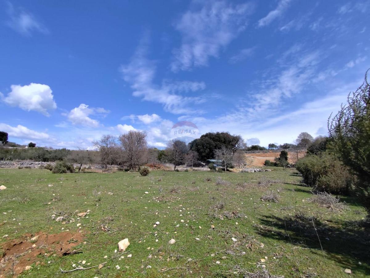 Terreno non edificabile Punat, 3.119m2