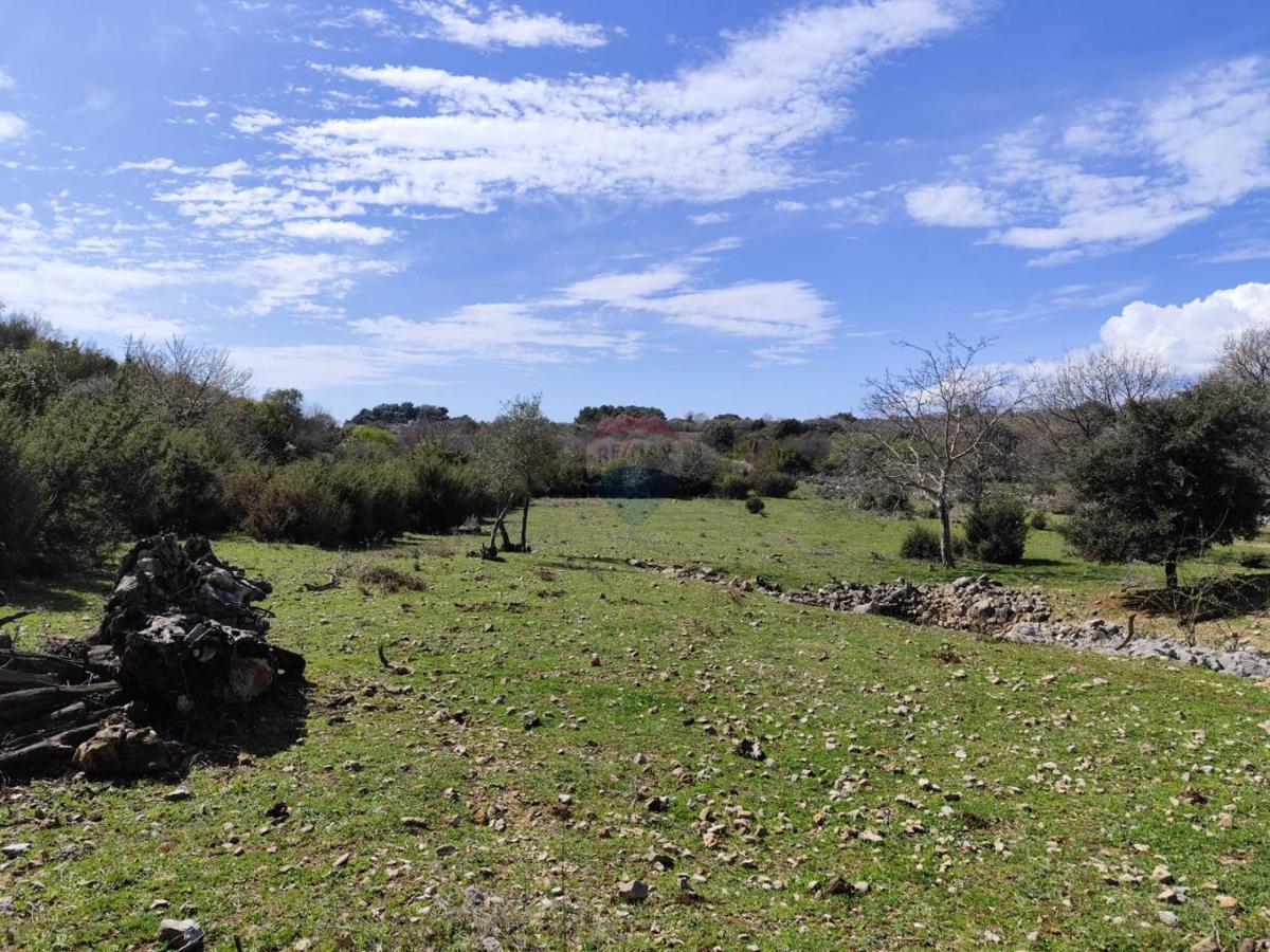 Terreno non edificabile Punat, 3.119m2