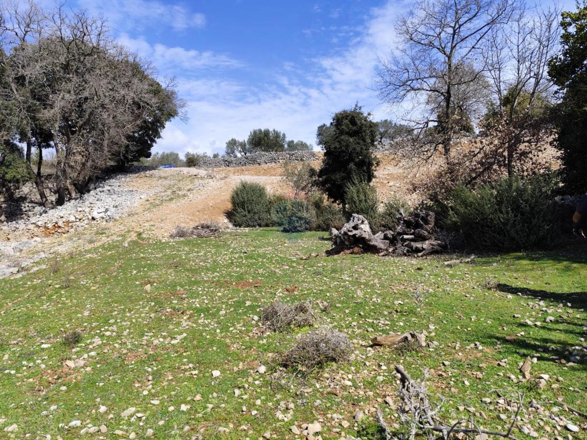 Terreno non edificabile Punat, 3.119m2