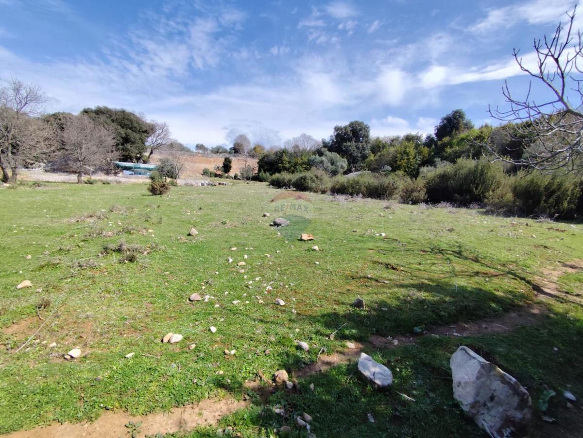 Terreno non edificabile Punat, 3.119m2