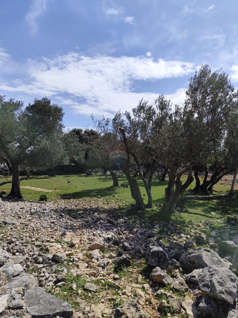 Terreno non edificabile Punat, 3.119m2