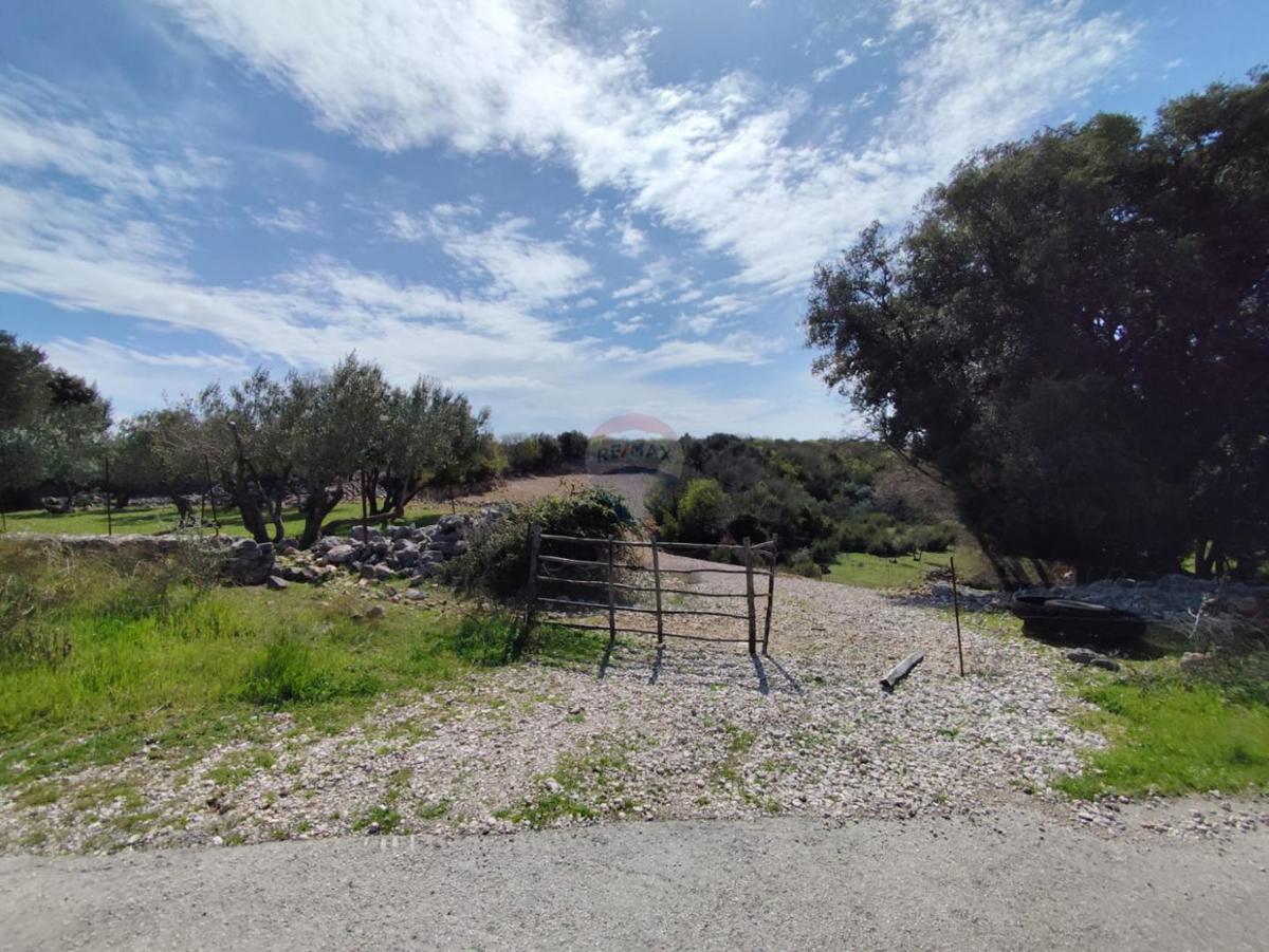 Terreno non edificabile Punat, 3.119m2