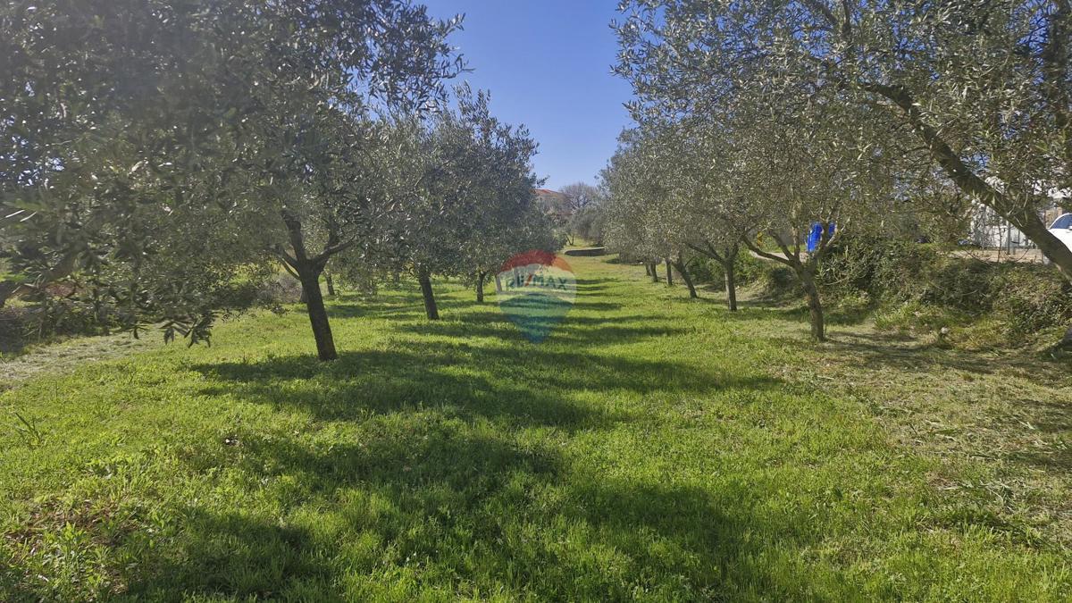 Istria, Peruški – Terreno edificabile vicino al mare e alle spiagge, 493 m2