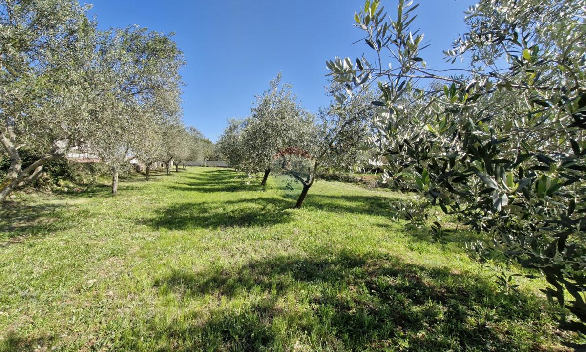 Terreno edificabile Peruški, Marčana, 493m2