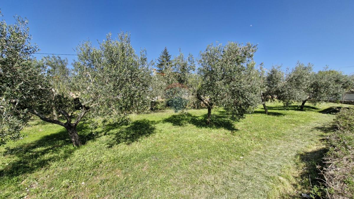 Terreno edificabile Peruški, Marčana, 493m2