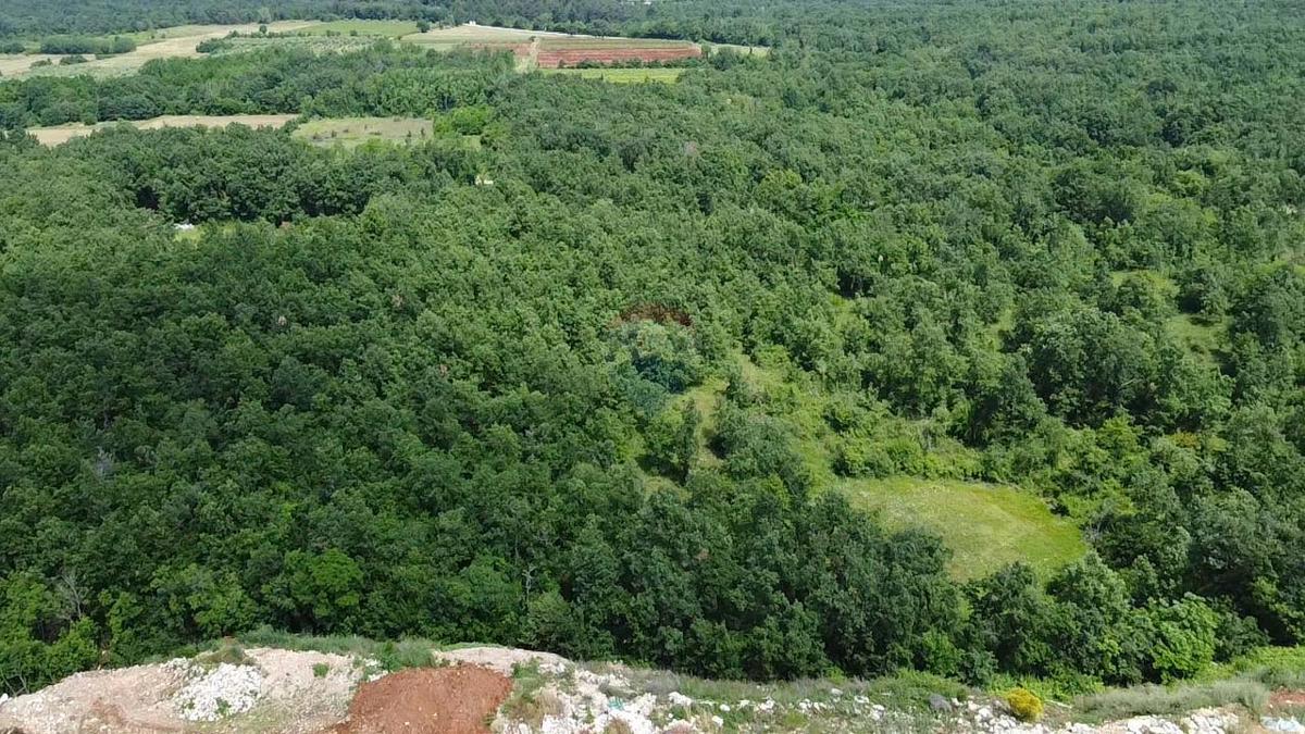 Terreno non edificabile Sveti Ivan, Višnjan, 44.336m2