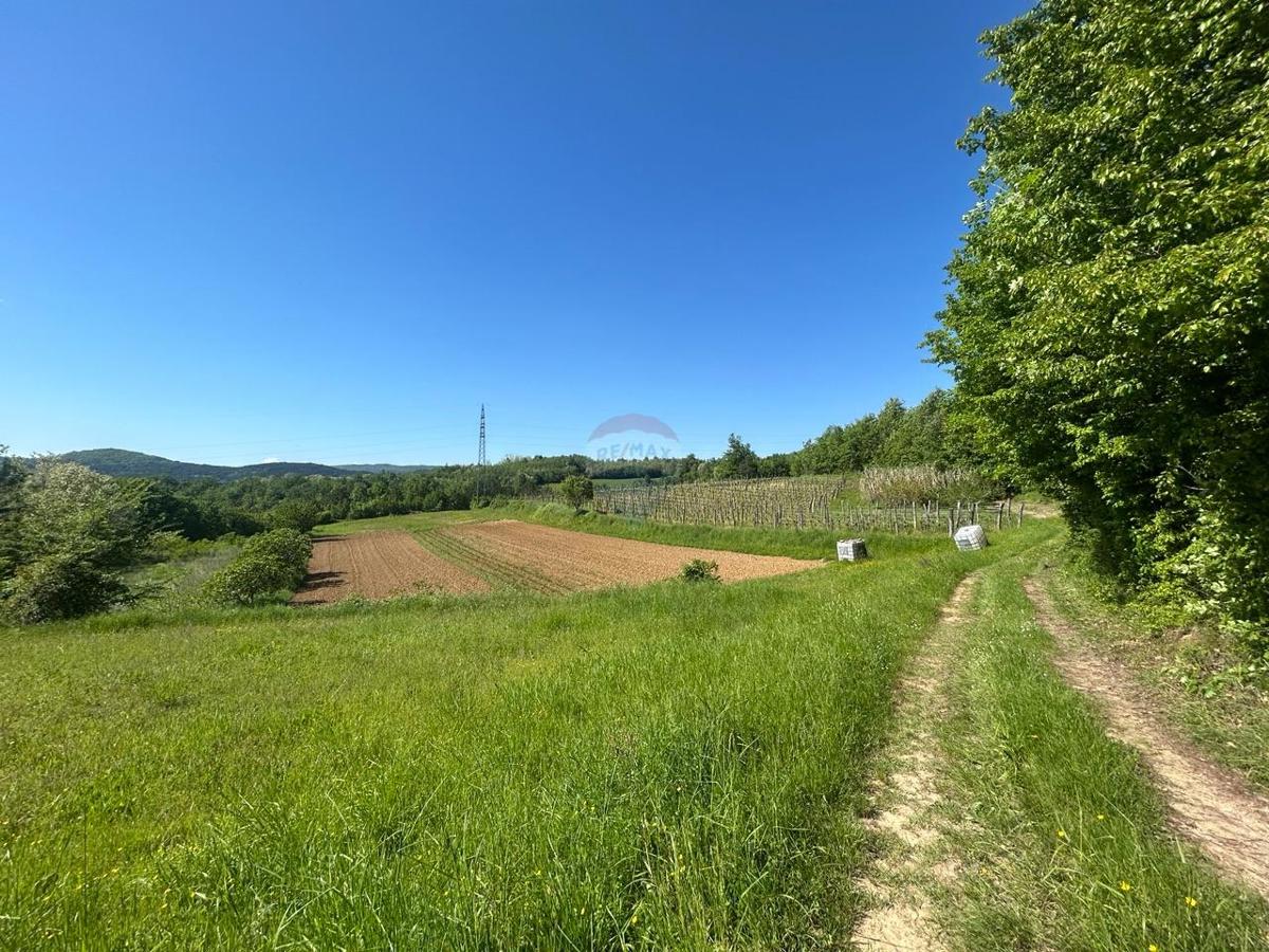 Terreno edificabile Vrh, Buzet, 1.630m2