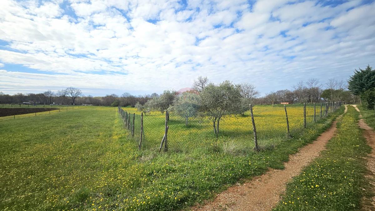 Terreno edificabile Umag, 3.364m2